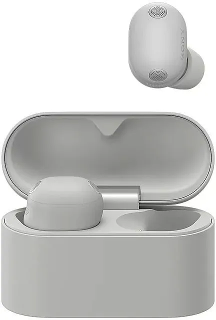 Наушники Sony WF-1000XM6, серебристый